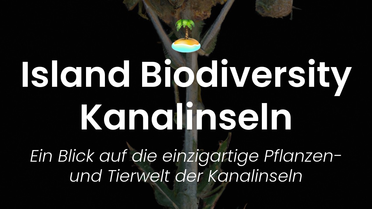Inselflora und -fauna-featured-image