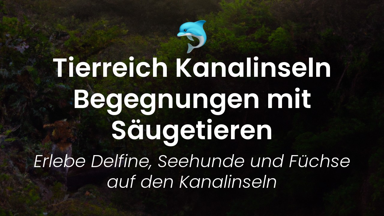 Kanalinseln Säugetiere-featured-image