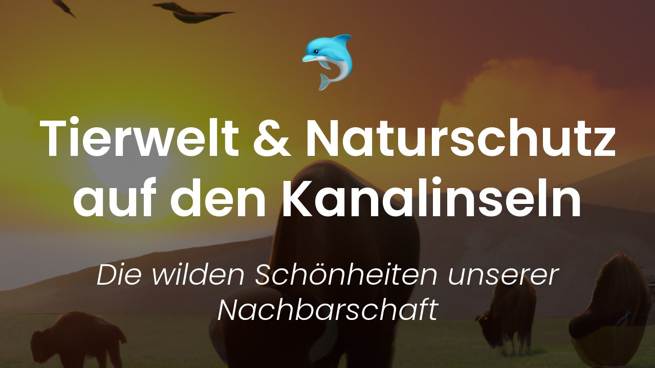 Kanalinseln Tierwelt & Naturschutz-featured-image