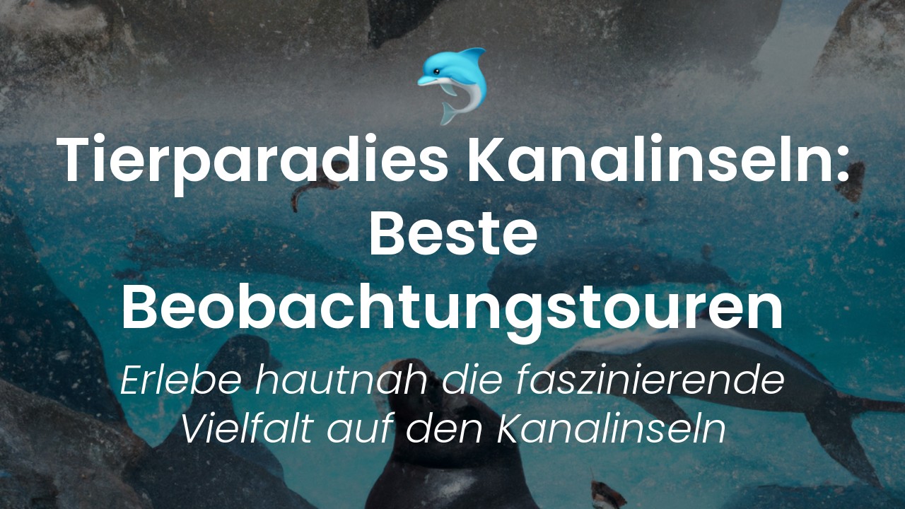 Beste Tierbeobachtung Kanalinseln-featured-image