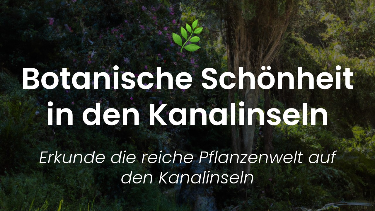 Botanischer Führer Kanalinseln-featured-image
