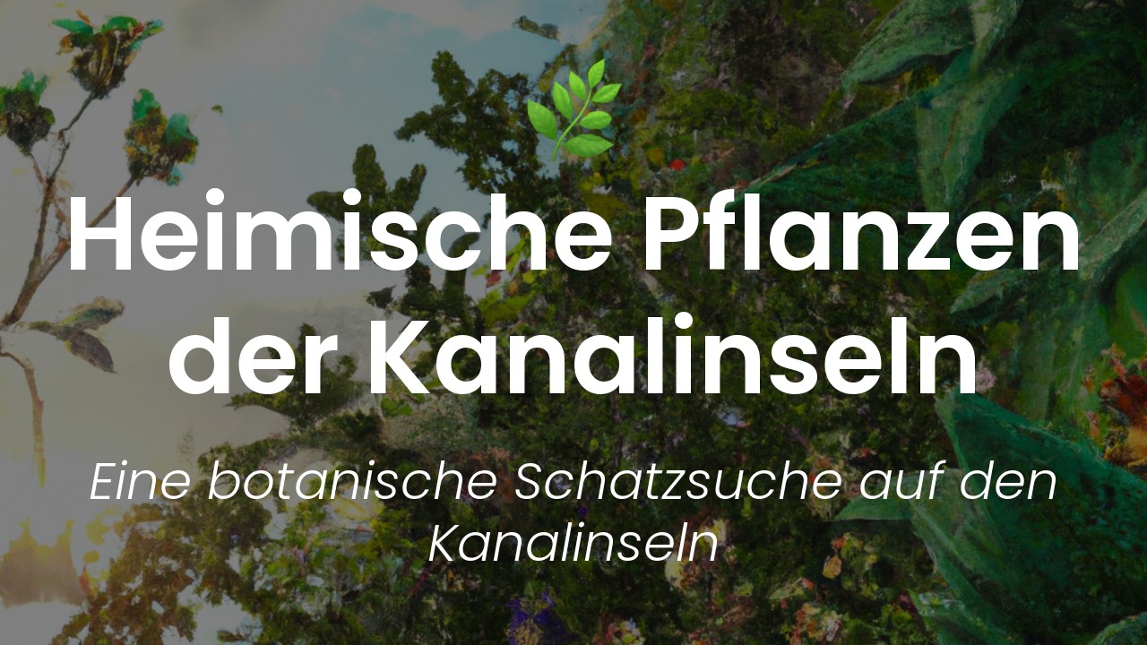 Heimische Pflanzen Kanalinseln-featured-image