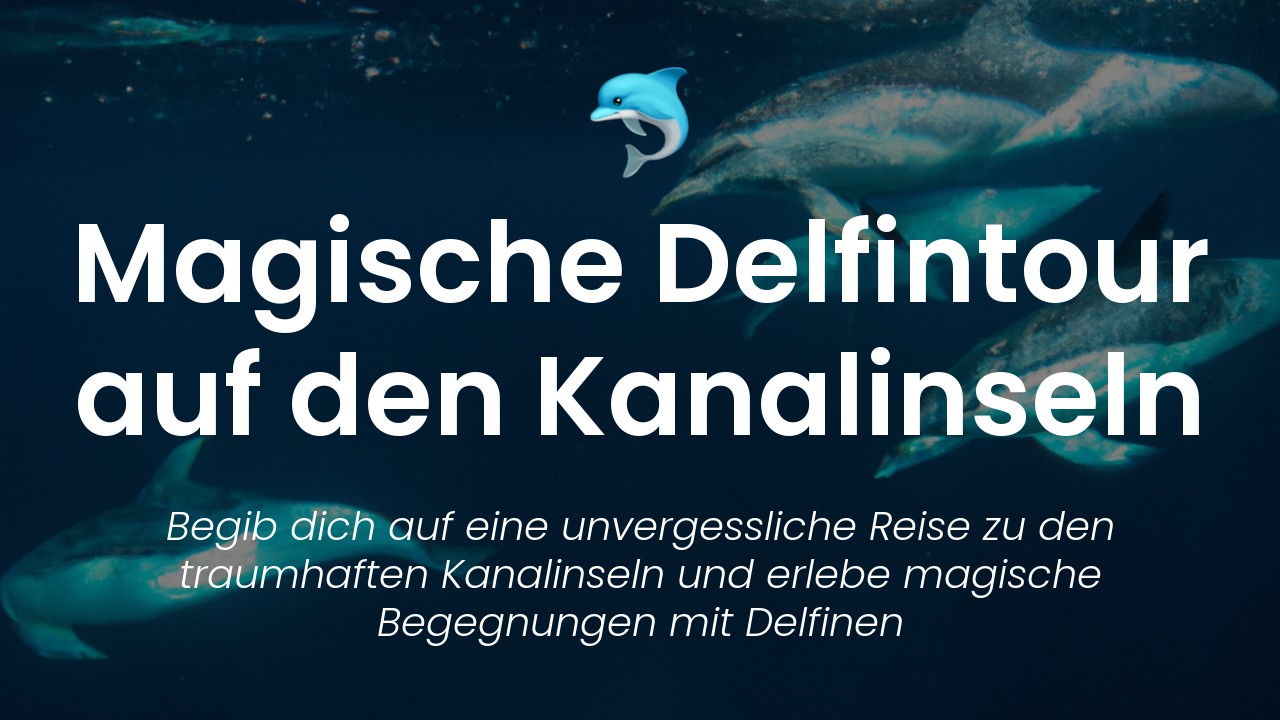 Kanalinseln Delfintouren-featured-image