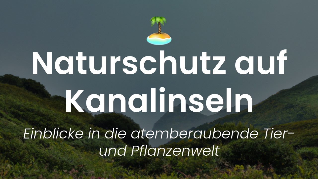 Naturschutz in den Kanalinseln-featured-image