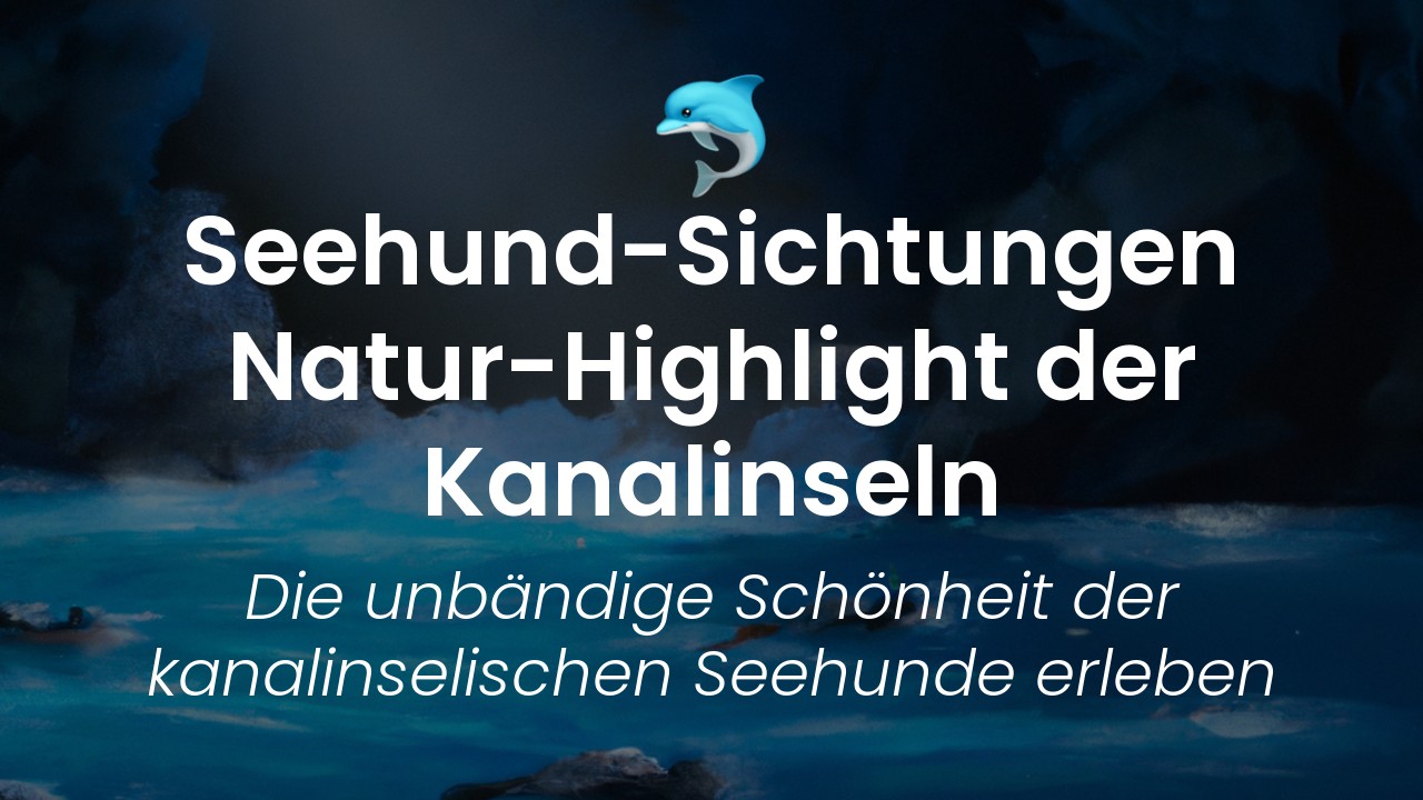 Seehund Sichtungen Kanalinseln-featured-image